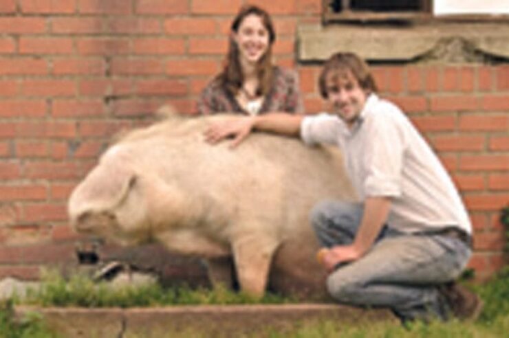 Image for Funding Boost to Organic Farm