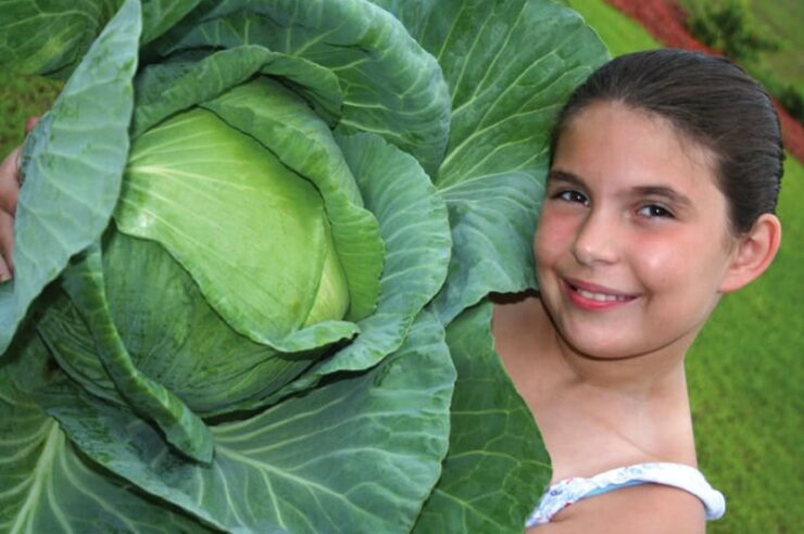 Image for 12-year-old food grower donates 2 tonnes of vegetables to homeless