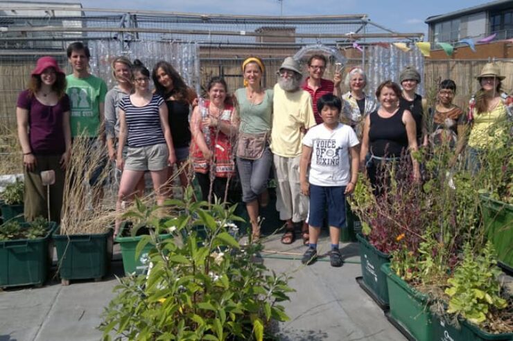 Image for London community grows food on supermarket roof