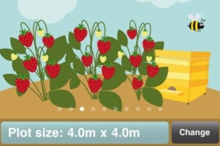 Image for Mobile app launched to help people grow fruit and veg
