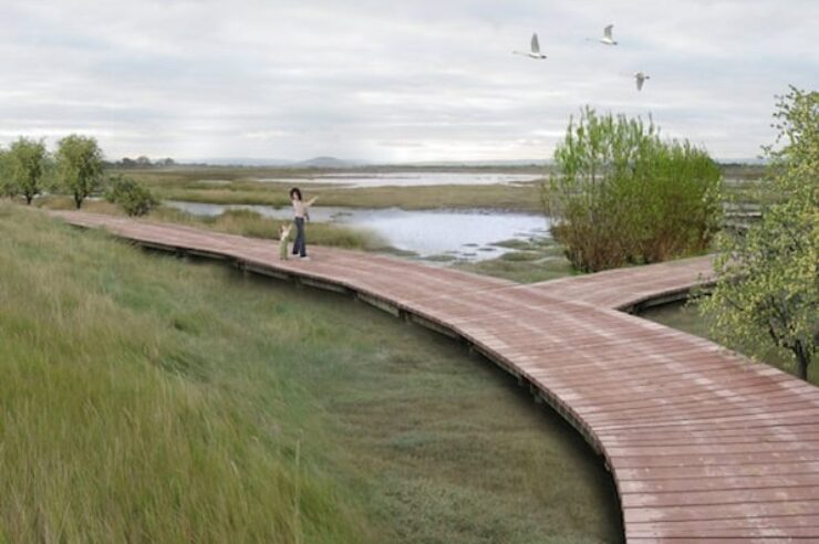 Image for Work starts on ambitious wetland project in Somerset