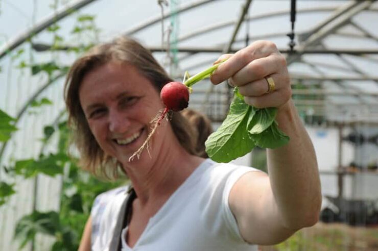 Image for Food business aims to inspire community veg-box schemes nationwide