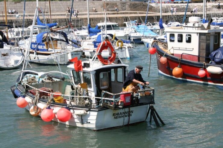 Image for Fishermen set voluntary catch limit