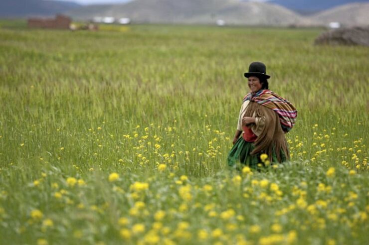 Image for Law of Mother Earth approved in Bolivia