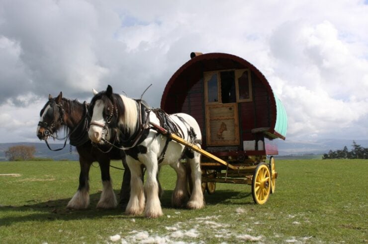 Image for Up hill and down dale: the joy of traversing the Lake District in a gypsy caravan