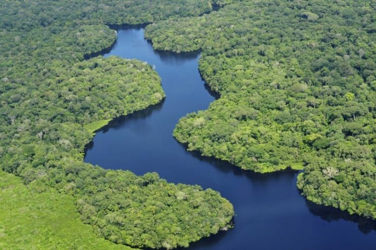 Image for Most detailed Amazon survey in 30 years will help fight deforestation