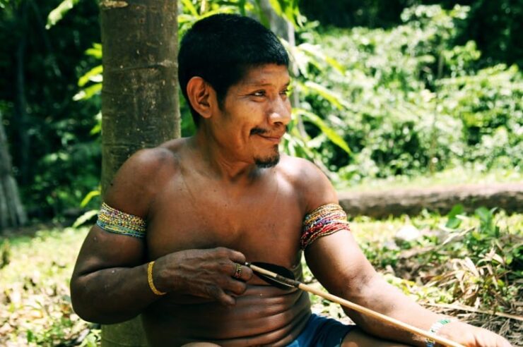 Image for Brazil takes steps to save threatened tribe from extinction