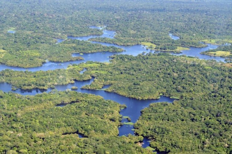 Image for £125m raised for world’s largest protected area of rainforest