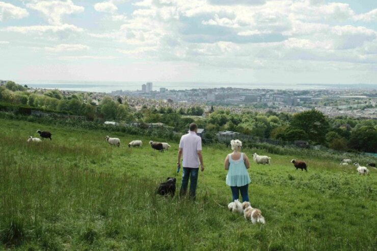 Image for Sussex South Downs declared new UNESCO biosphere reserve