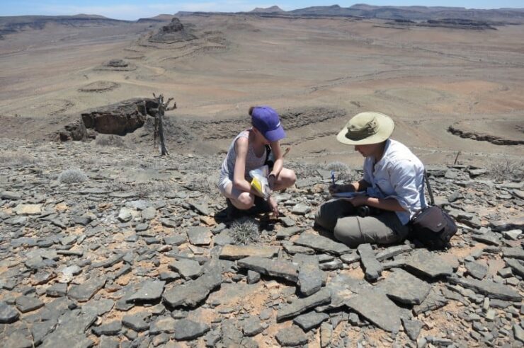 Image for Oldest animal-built reef discovered in Namibia