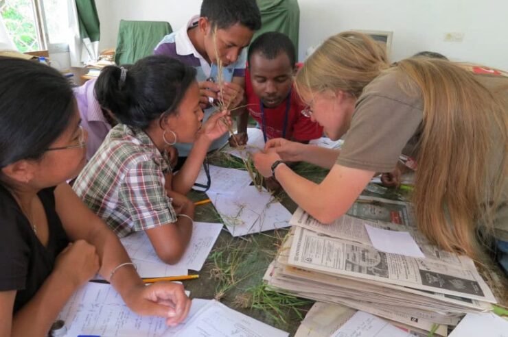 Image for UK’s Kew Gardens steps up global science efforts