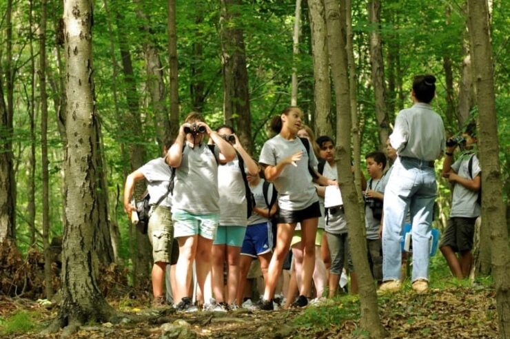 Image for Green spaces benefit mental development in school children, study finds