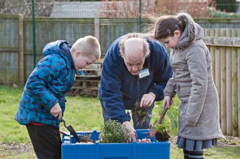 OLD MOAT SCHOOL, CHORLTON, Manchester RONALD AVISON an Intergen volunteer helping in the school garden