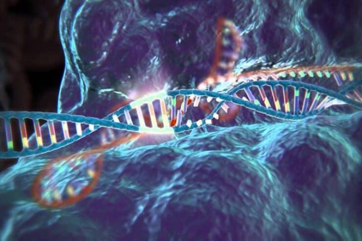 Image for Genius genes: How CRISPR is revolutionising DNA manipulation