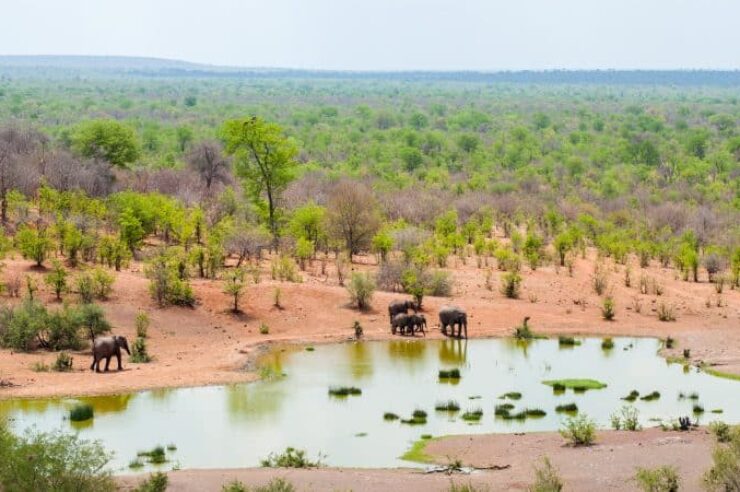 Image for Shared senses: how sighted travellers are helping blind adventurers explore the world