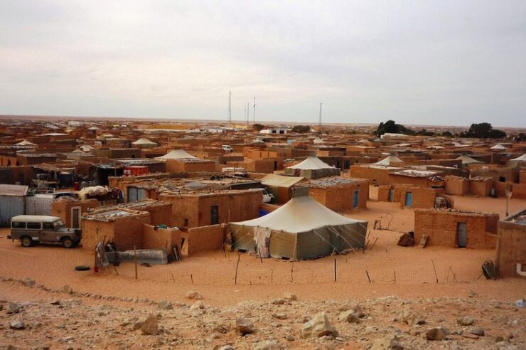 Image for Saharan solidarity: the North African refugees keeping corruption at bay