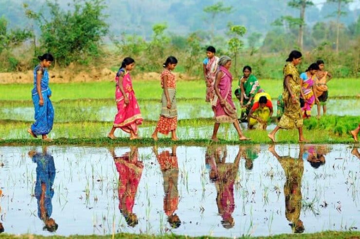 Image for Land rights victory for Indian women