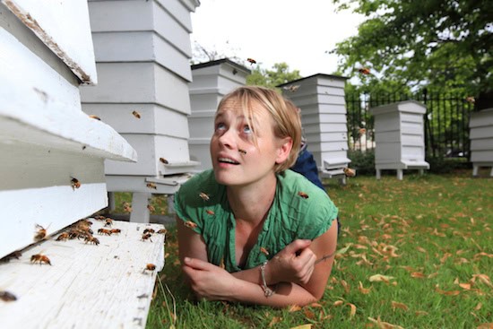 Honeybee watching - Eric Tourneret