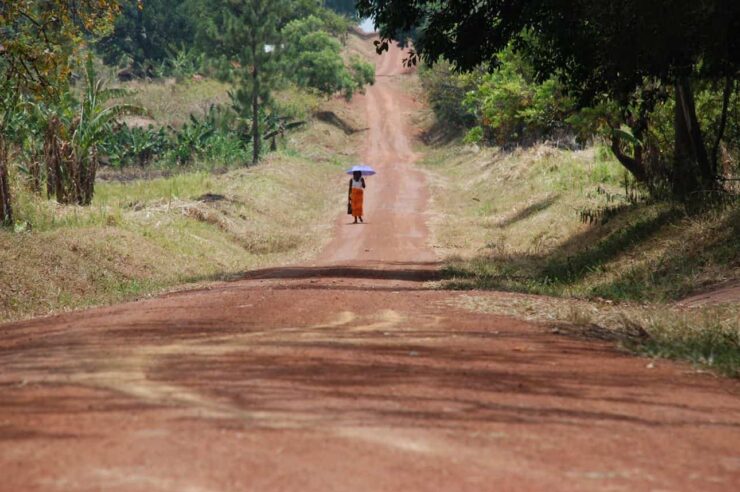 Image for Resilience in northern Uganda