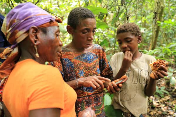 Mbendjele hunter-gatherer women in the village of Gbagbali, Republic of Congo, learn how to record the wild forest resources they depend on, as part of UCL’s ‘extreme citizen science’