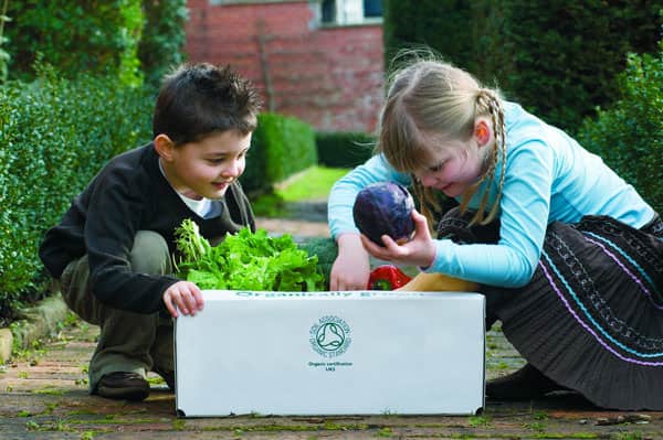 Sales of organic products through home delivery increased by 10.5 per cent in 2016. Image: Soil Association