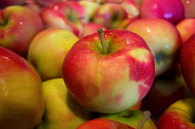 Image for 10 lessons from London’s first community fridge