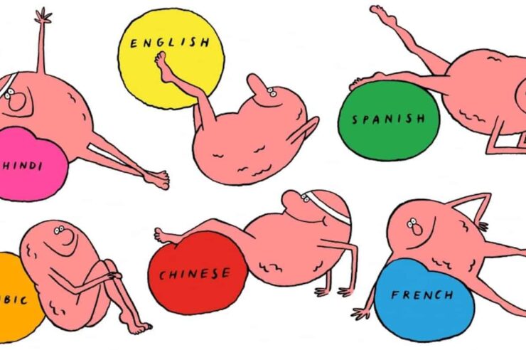 Image for Why being bilingual helps keep your brain fit