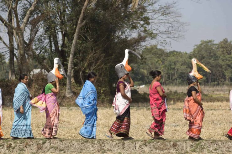 Image for The all-women ‘army’ protecting Assam’s rare storks