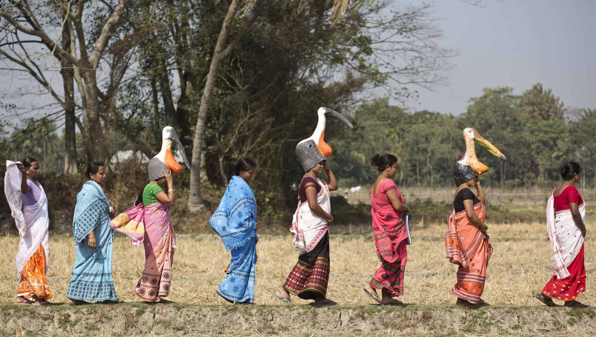 The allwomen 'army' protecting Assam’s rare storks Positive News
