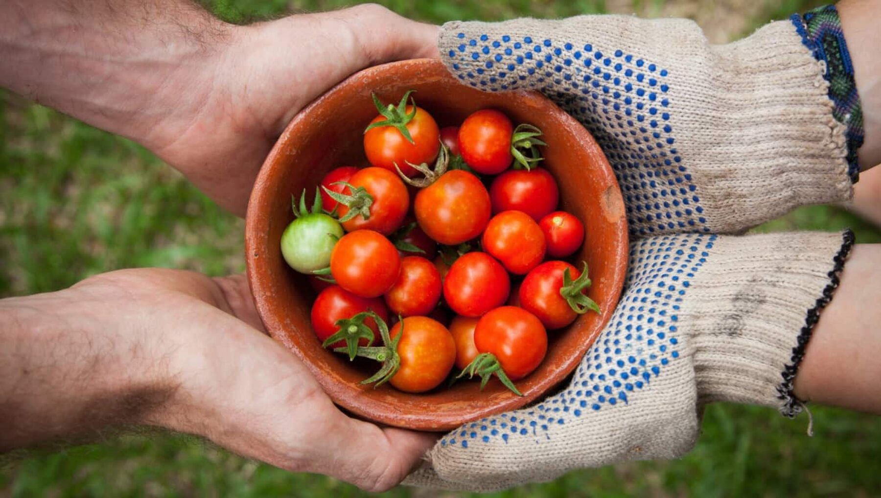 Image for How to feed ourselves in a time of climate crisis