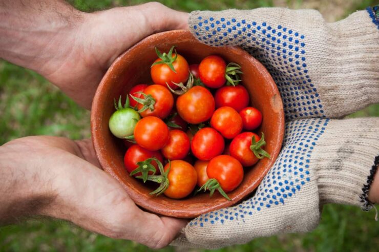 Image for How to feed ourselves in a time of climate crisis