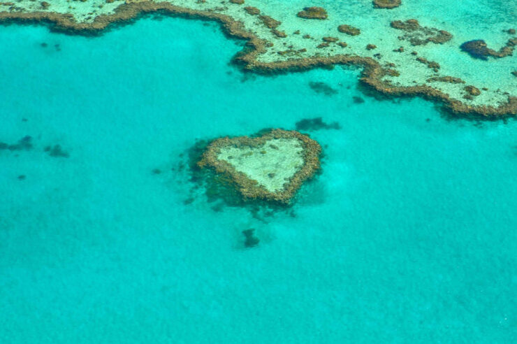 Image for Australia to invest millions in Great Barrier Reef restoration and protection