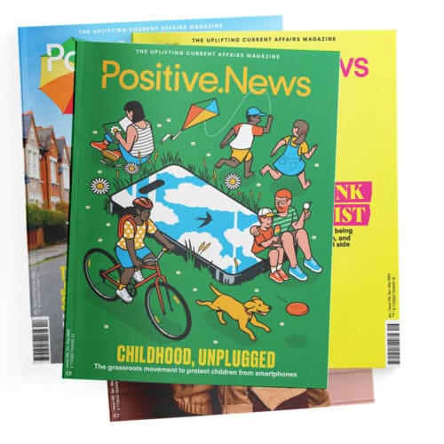 Magazine subscription (print & digital)