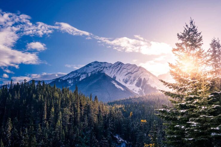 Image for Canadian man offers to share his land with First Nations family