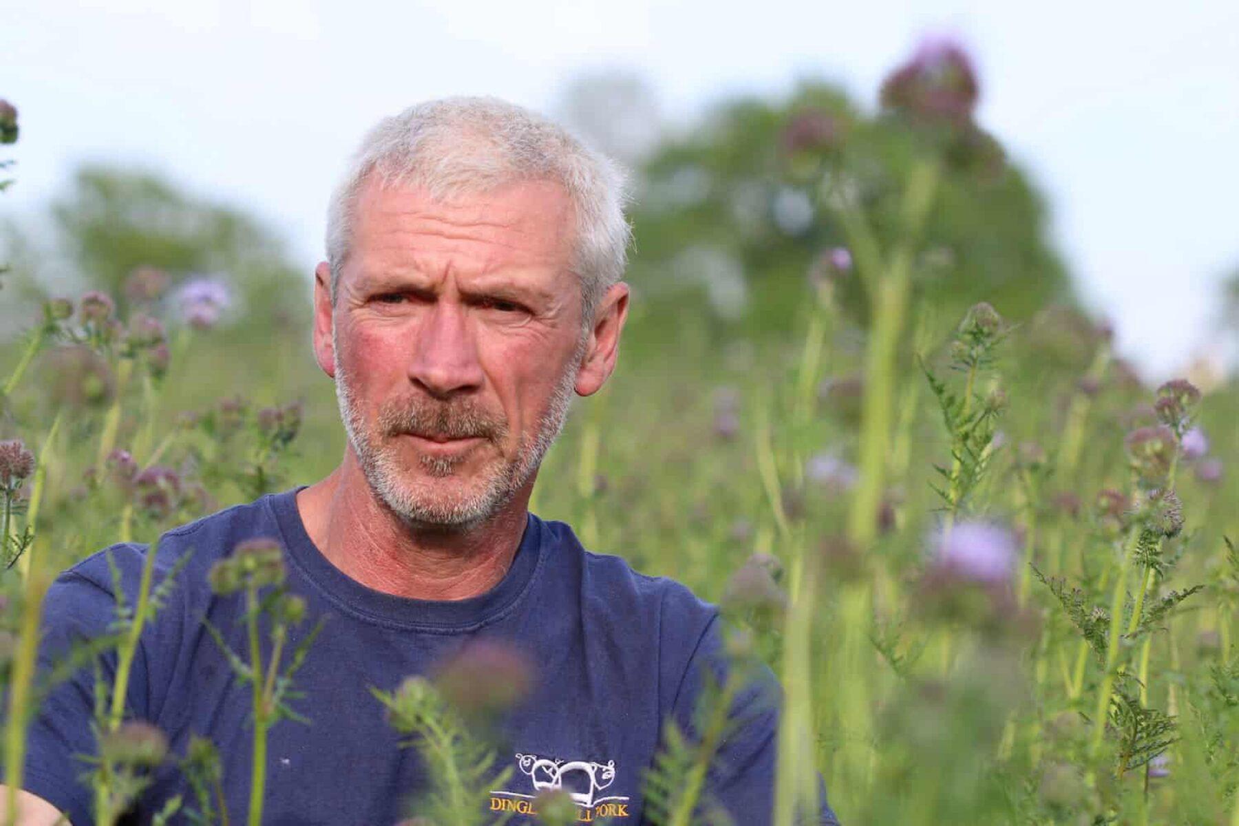 Image for Farmers pledge to ‘feed’ a million bumblebees this summer