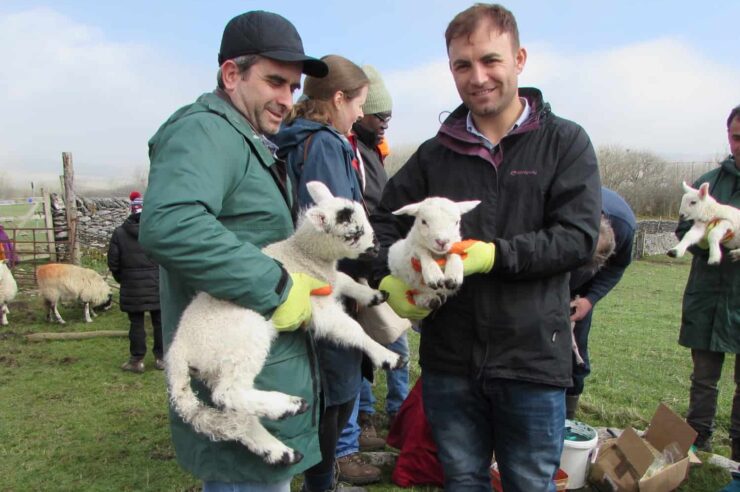 Image for Asylum seekers become shepherds in the Yorkshire Dales for a day