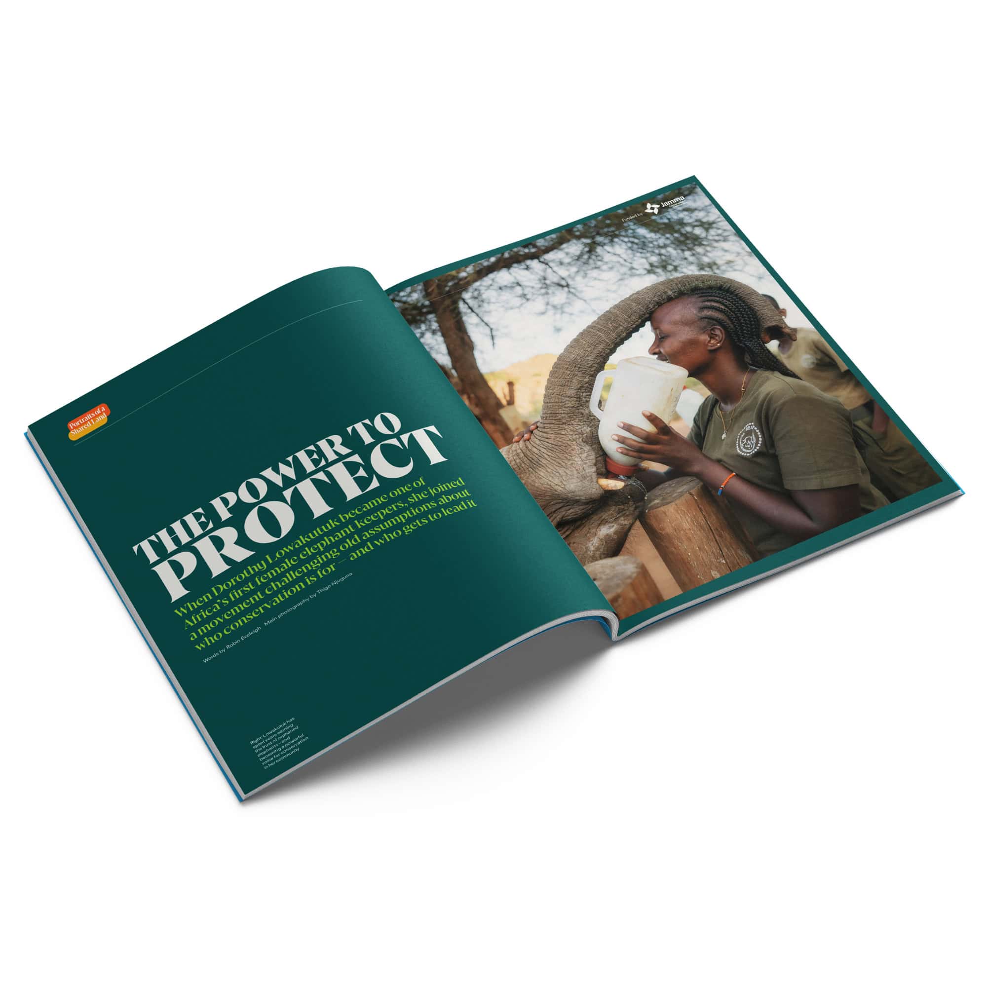 Gift subscription - Image 3