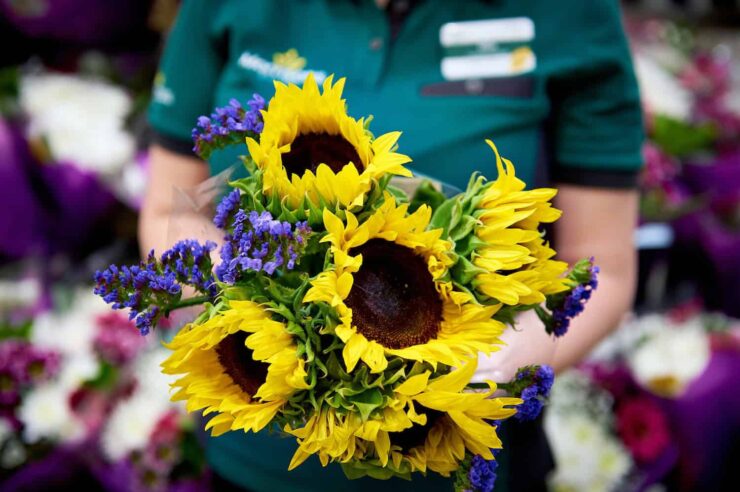 Image for Supermarket’s new ‘wonky’ flower range stops imperfect stems going to waste