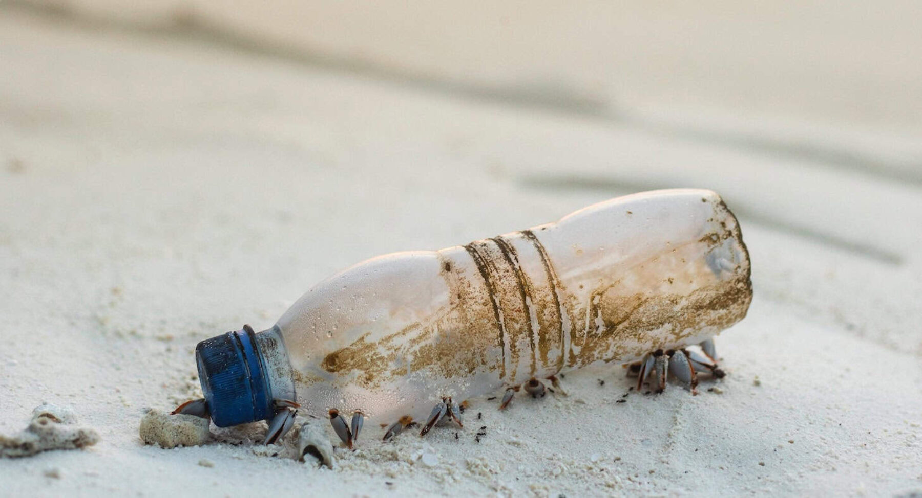 Image for Single-use plastics ban approved by European parliament