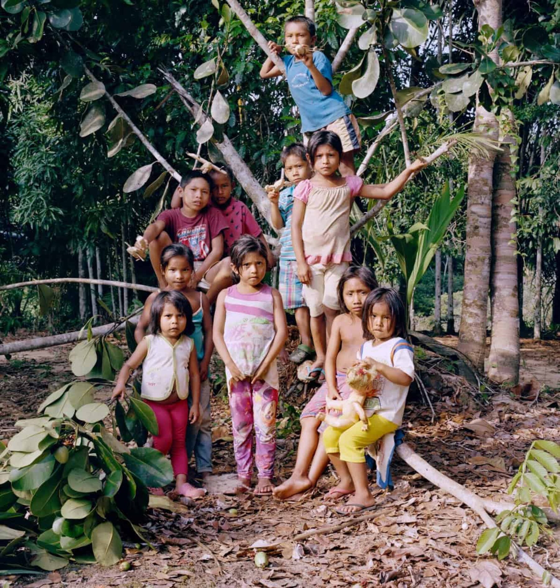 Image for Sustainable forest gardening in Colombia