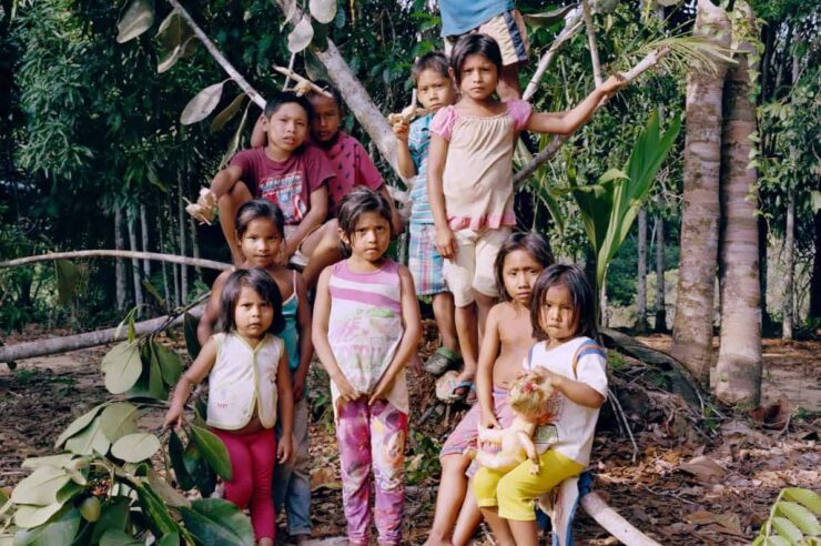 Image for Sustainable forest gardening in Colombia