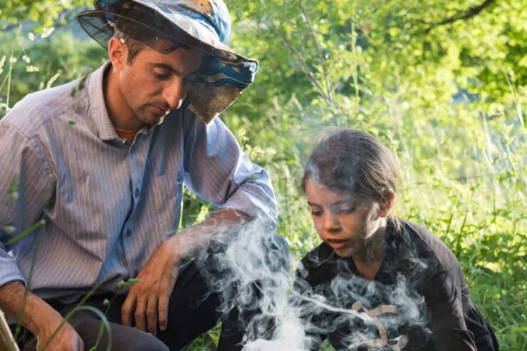 Image for The Georgian farmer with a passion for beekeeping