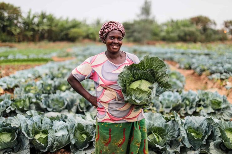 Image for Funding female entrepreneurs: the vegetable farmer from Ivory Coast