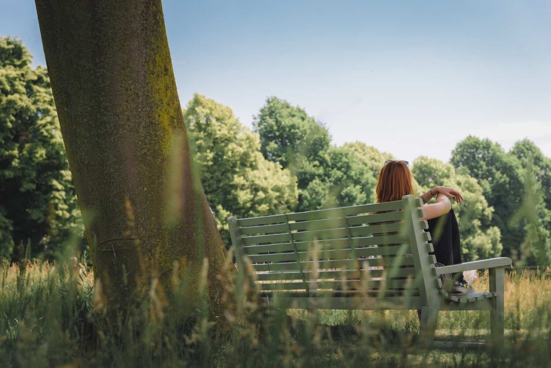 Image for £10m fund to plant more than 130,000 trees in England’s urban areas