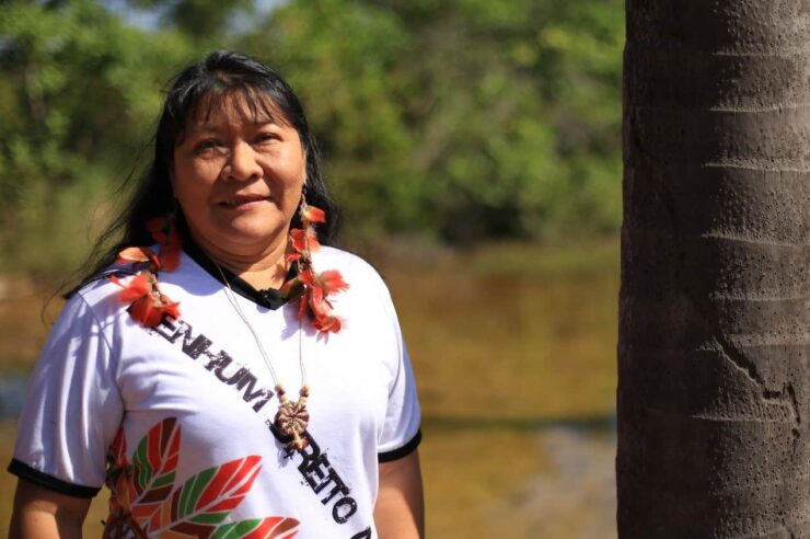 Image for The indigenous Brazilian congresswoman who is standing up to Bolsonaro