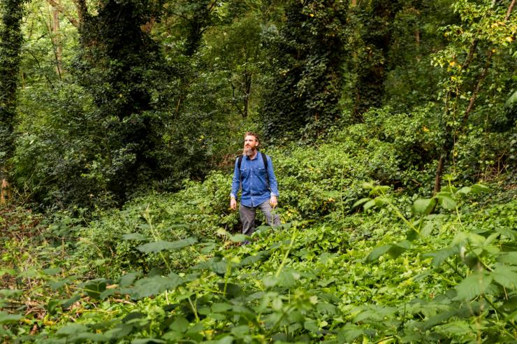 Image for London: the world’s first national park city