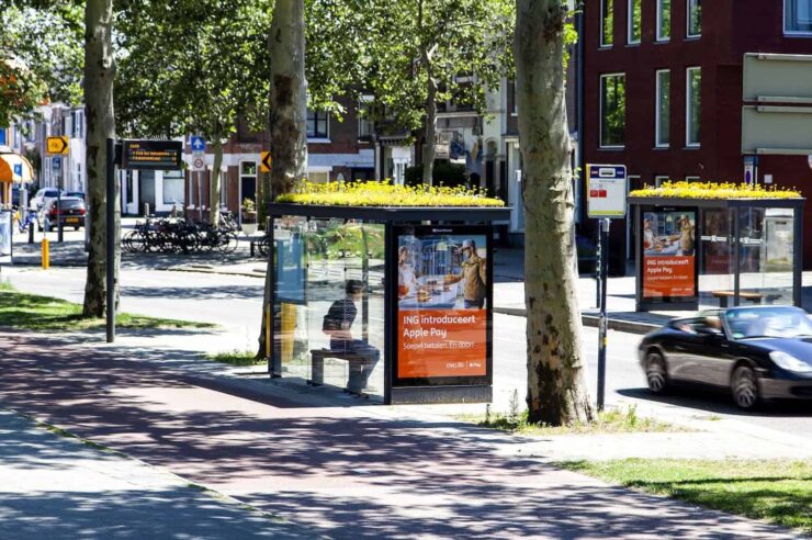 Image for Bus stops in Utrecht designed to benefit bees