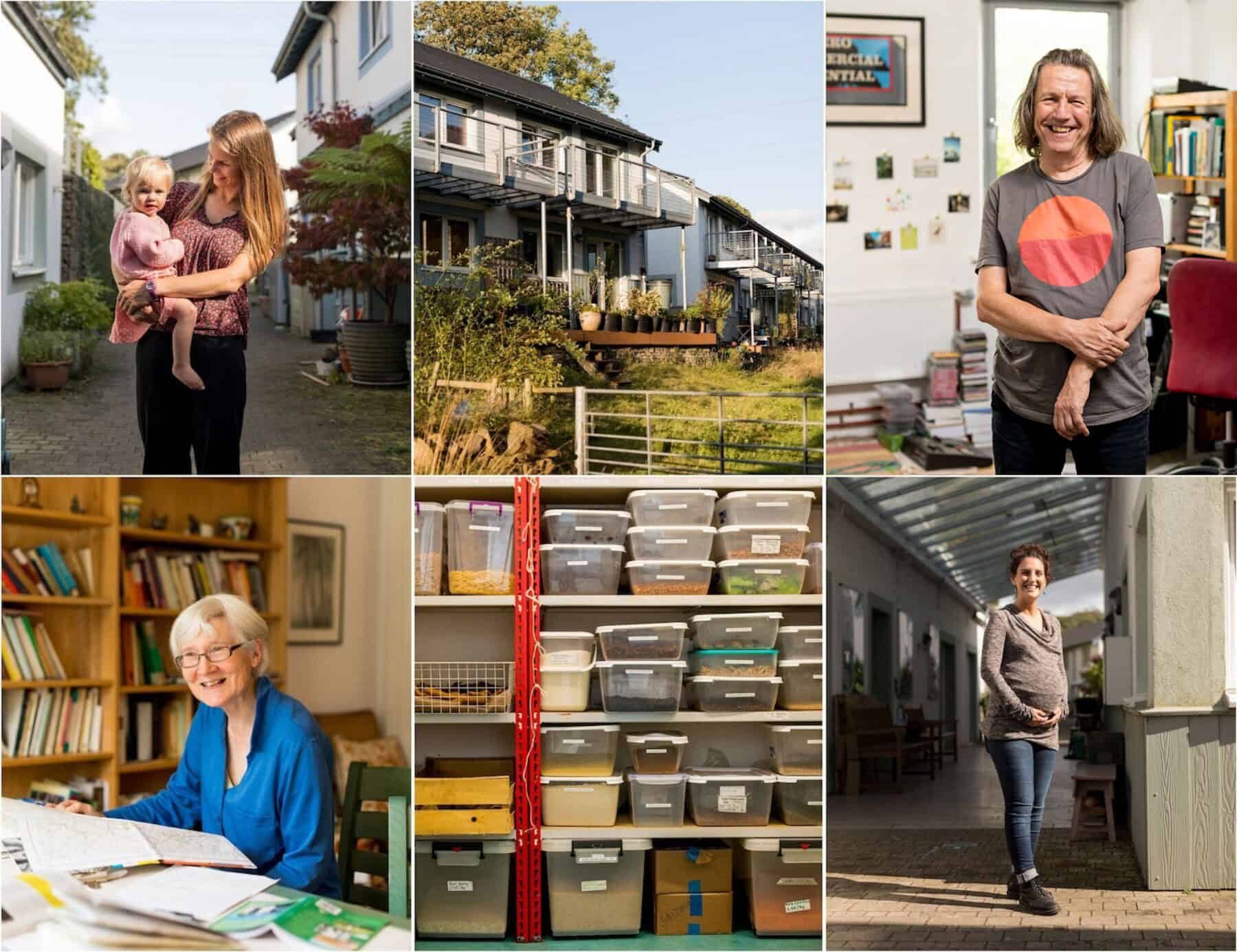 Image for Co-housing: sharing the future