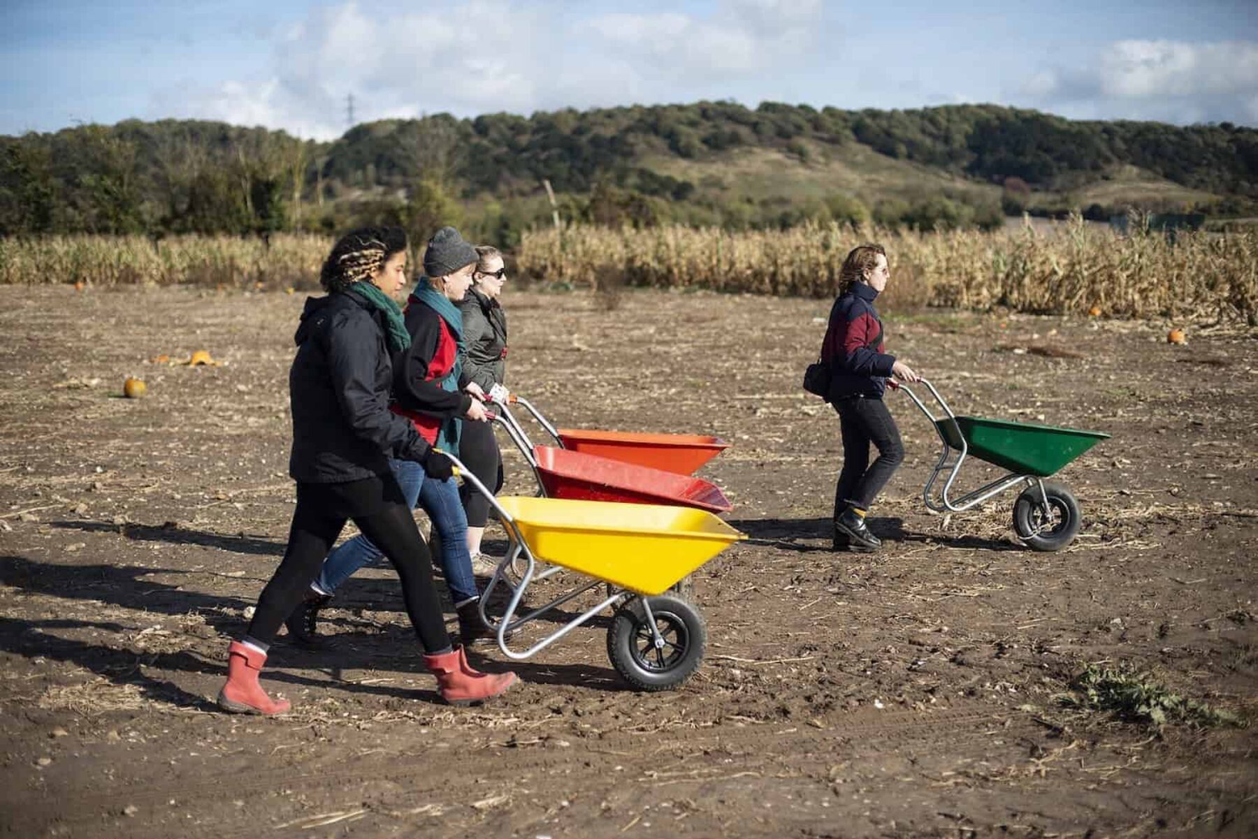 Image for Hope 100: The campaign group talking down the food system