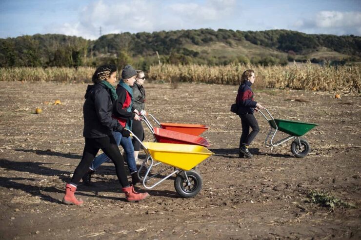 Image for Hope 100: The campaign group talking down the food system